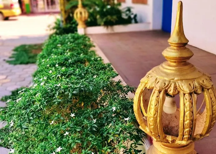 The Cashew Nut 3* Siem Reap